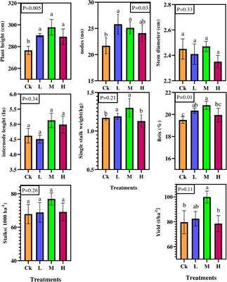 Untangling the Rhizosphere Bacterial Community Composition and Response of Soil Physiochemical Properties to Different Nitrogen Applications in Sugarcane Field